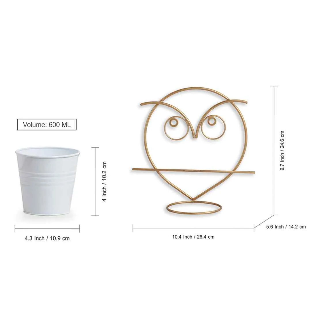 Angry Owl' Wall Planter Pot In Galvanized Iron (25.4 cm | Brass Finish)
