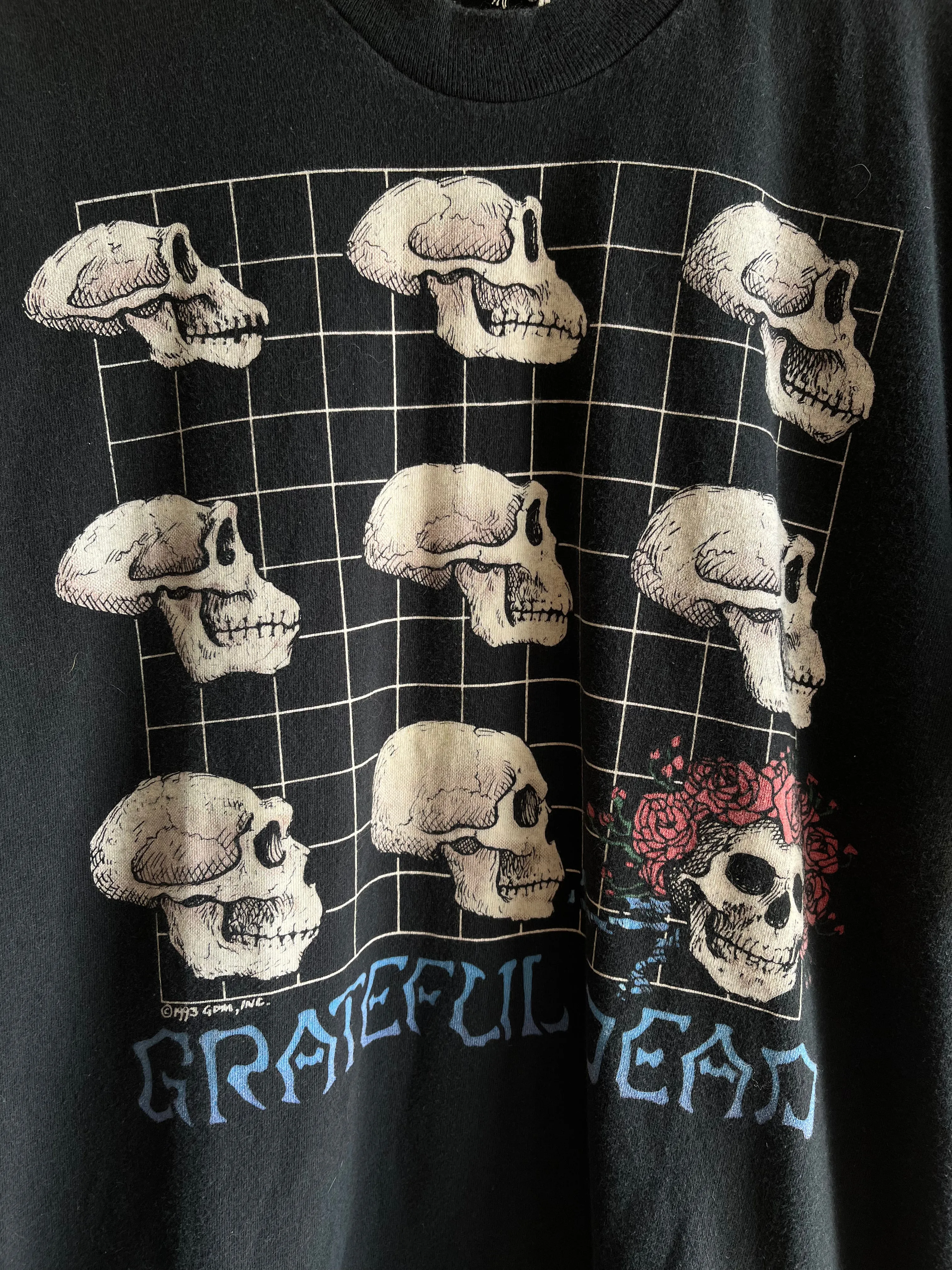 Authentic Vintage 1993 Grateful Dead Evolution T-Shirt
