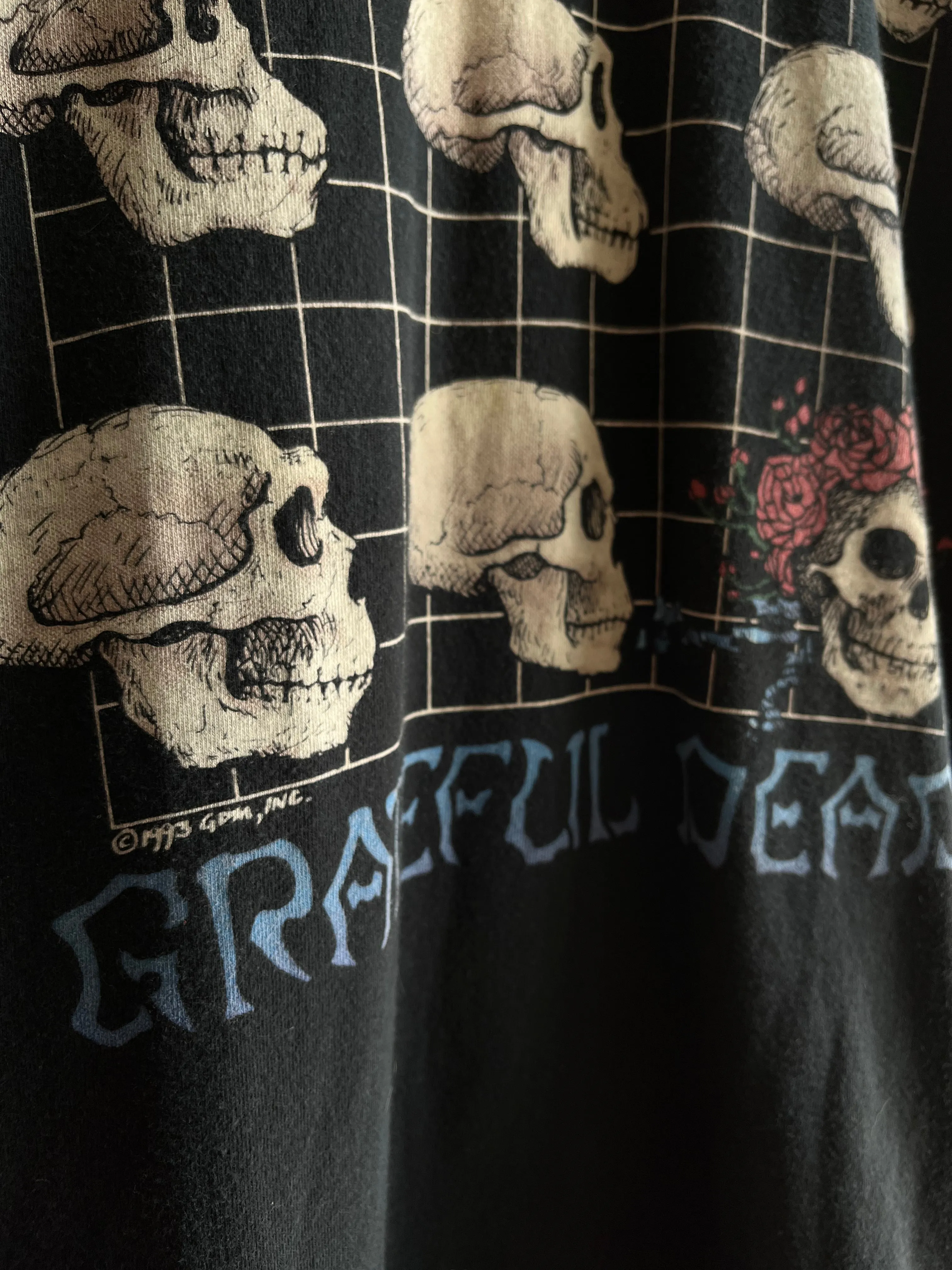 Authentic Vintage 1993 Grateful Dead Evolution T-Shirt
