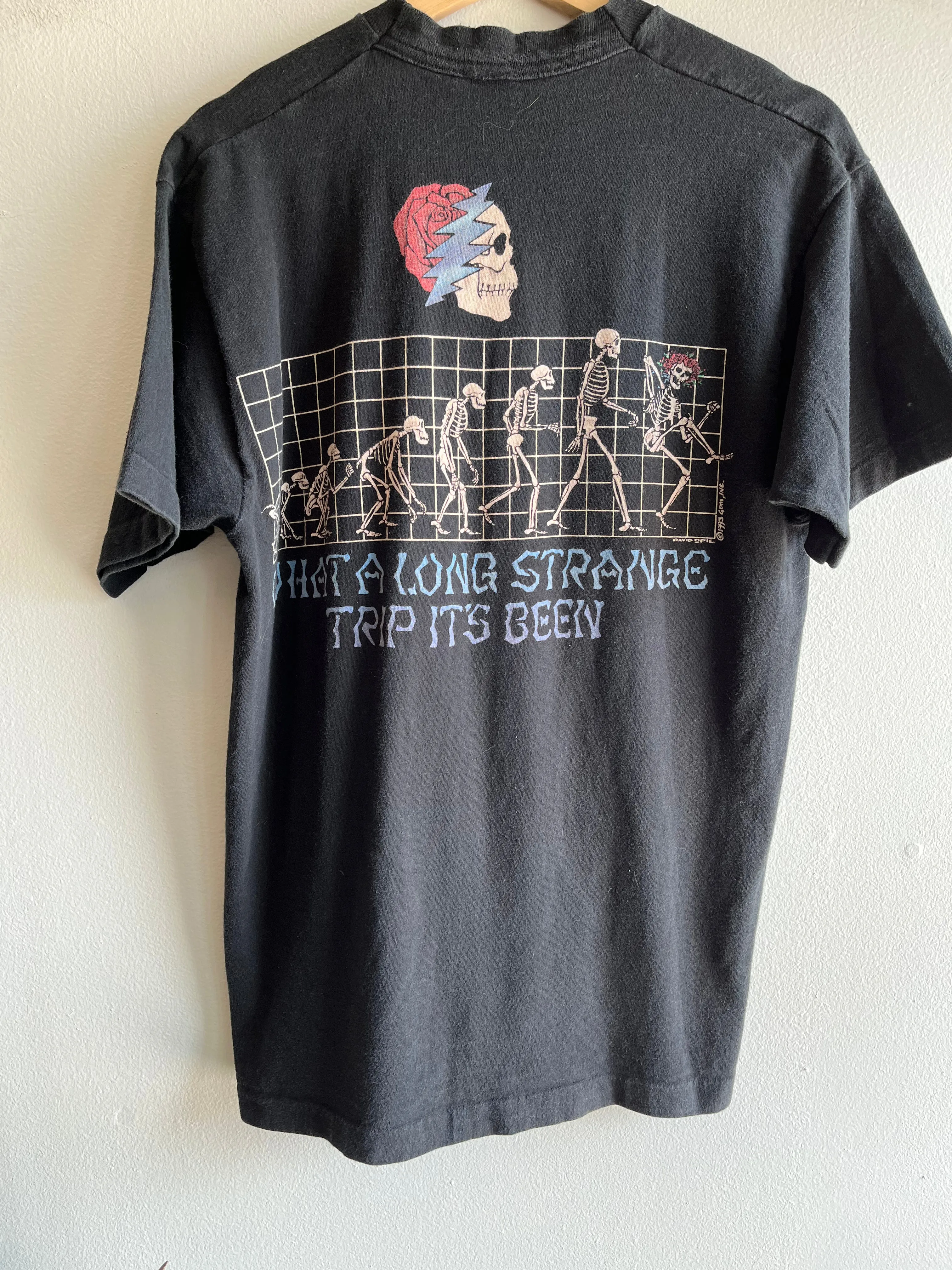 Authentic Vintage 1993 Grateful Dead Evolution T-Shirt