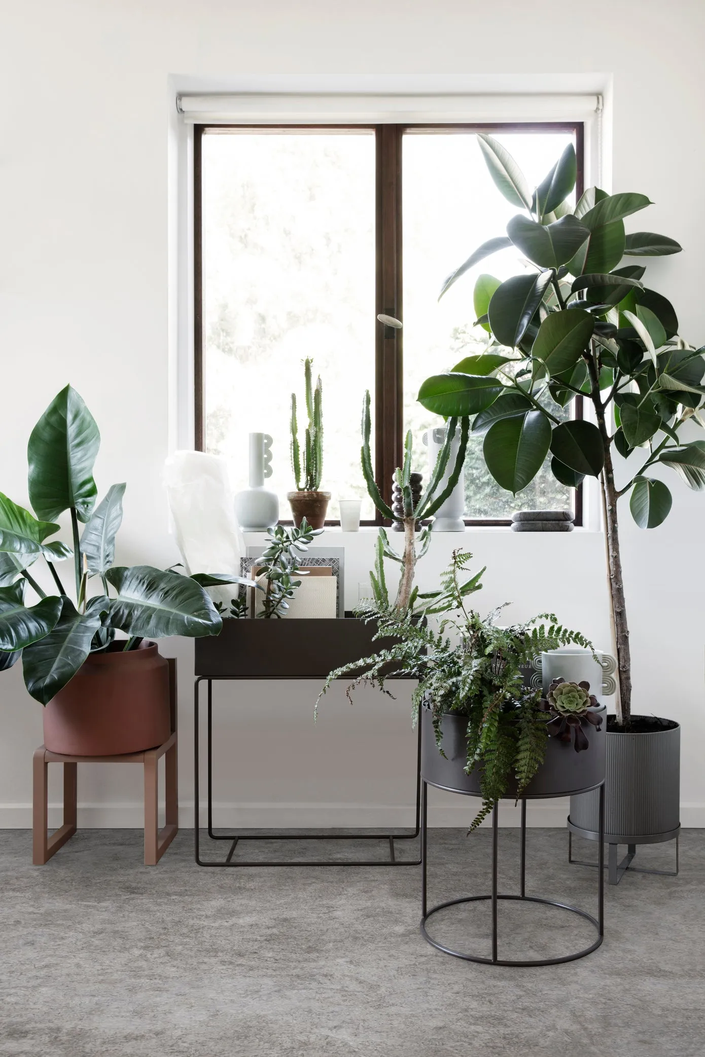 Bau Pot