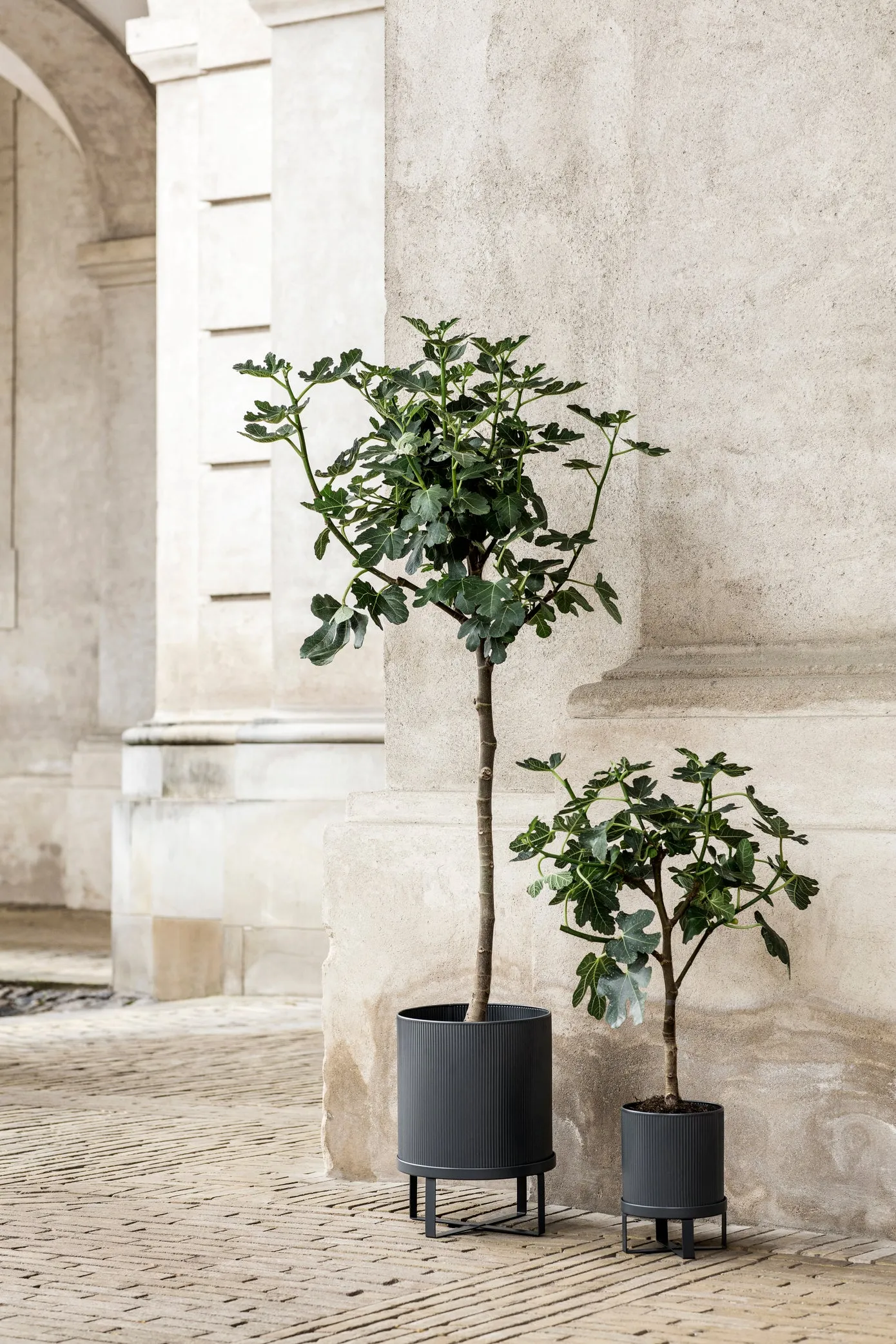 Bau Pot