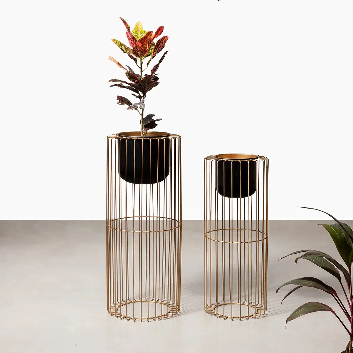Botanic Couture Planters Set of 2 - Black