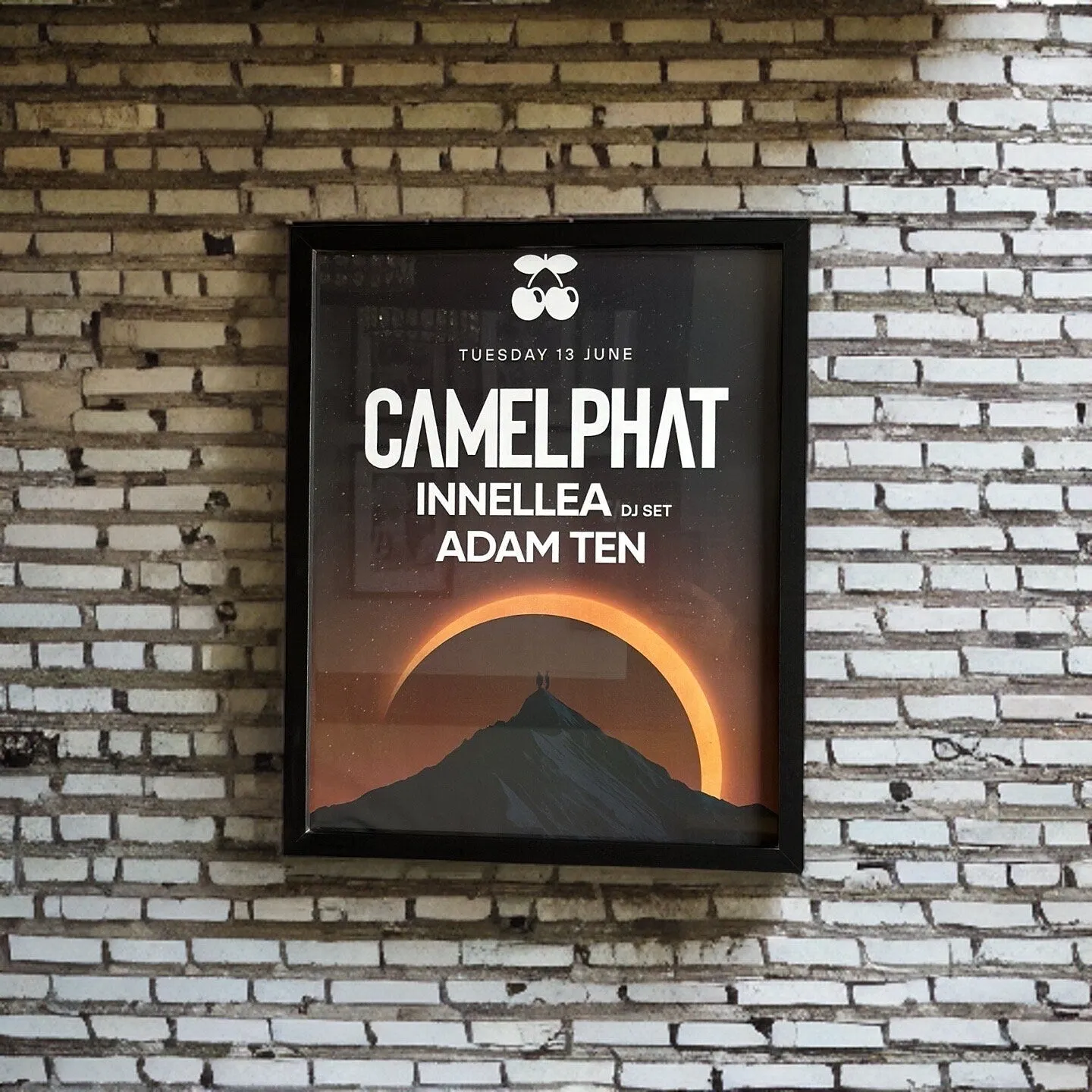 Camelphat ~ Genuine Pacha Ibiza Framed Dj Artwork | A3 Luxury Black Frame