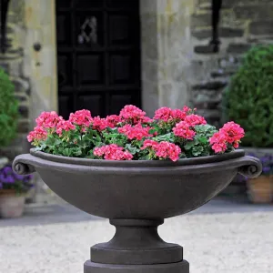 Campania International Medici Large Oval Planter