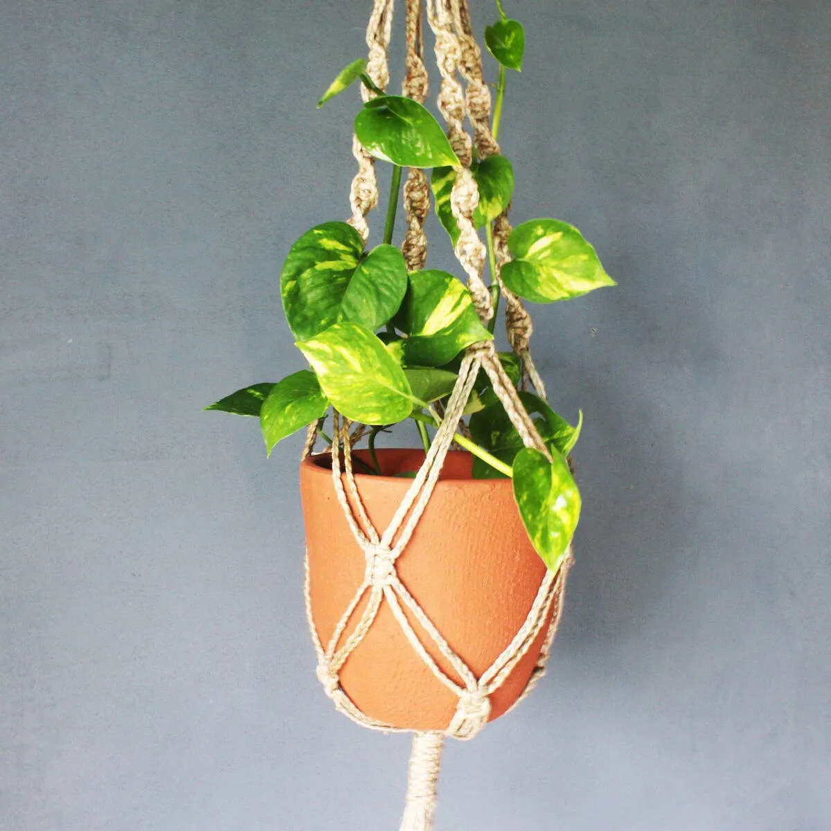 Cone Classic Terracotta Planters Set of 3 (Large,Medium,Small)