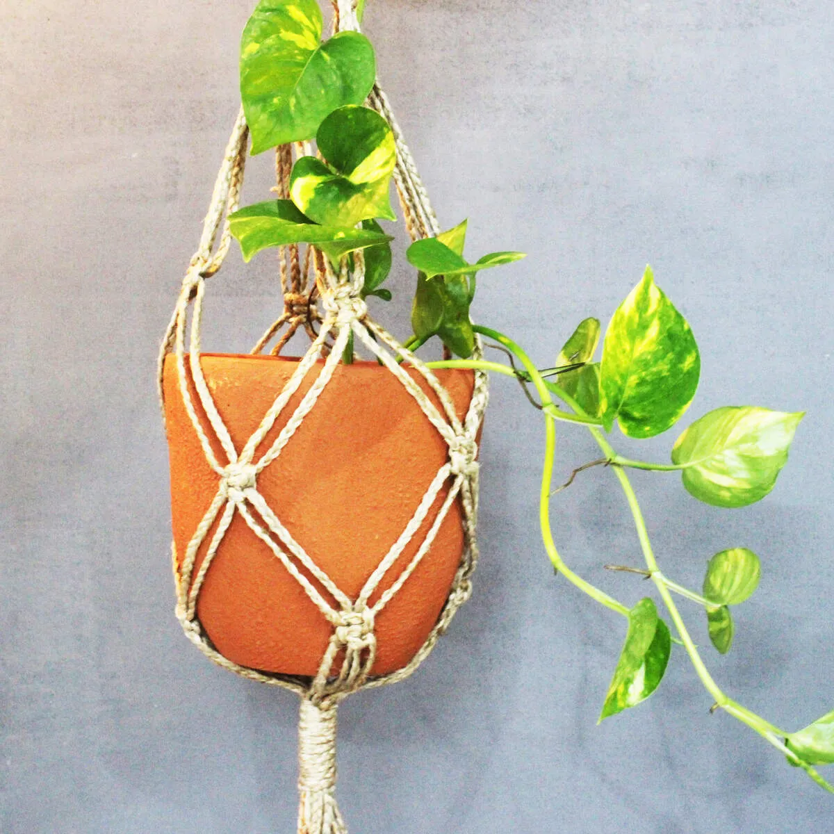 Cone Classic Terracotta Planters Set of 3 (Large,Medium,Small)