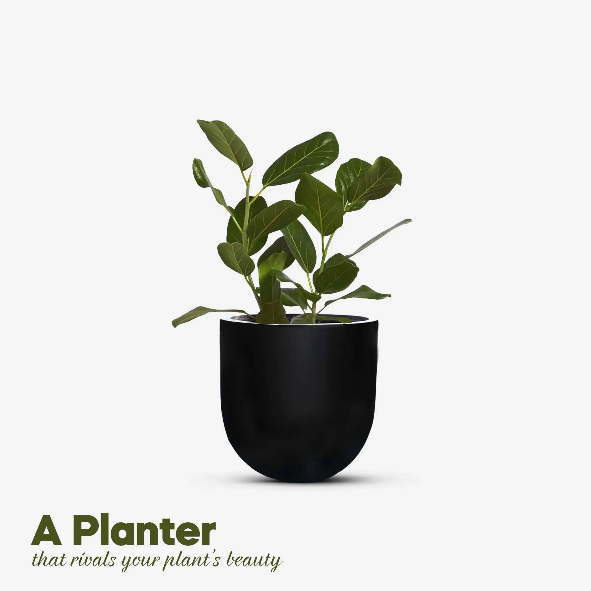 Fiberglass Planter-Medium