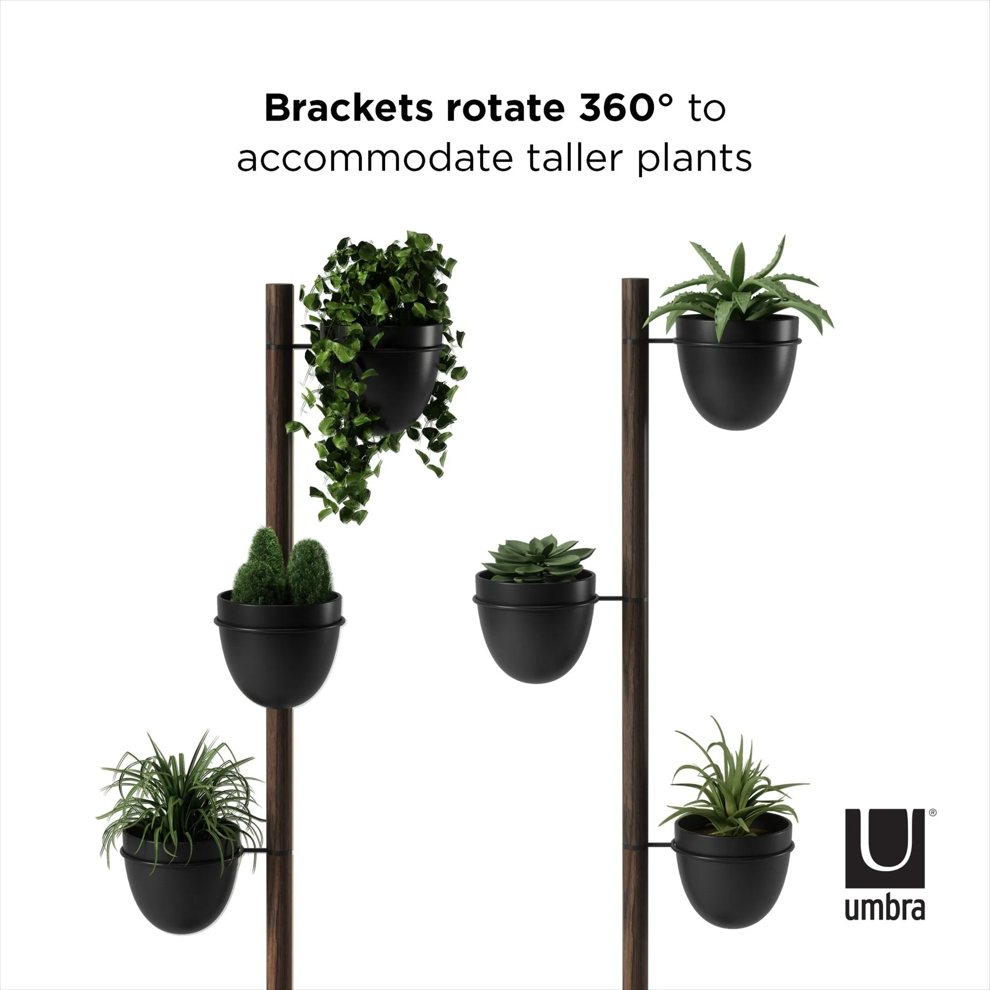 Floristand Planter - Black / Walnut