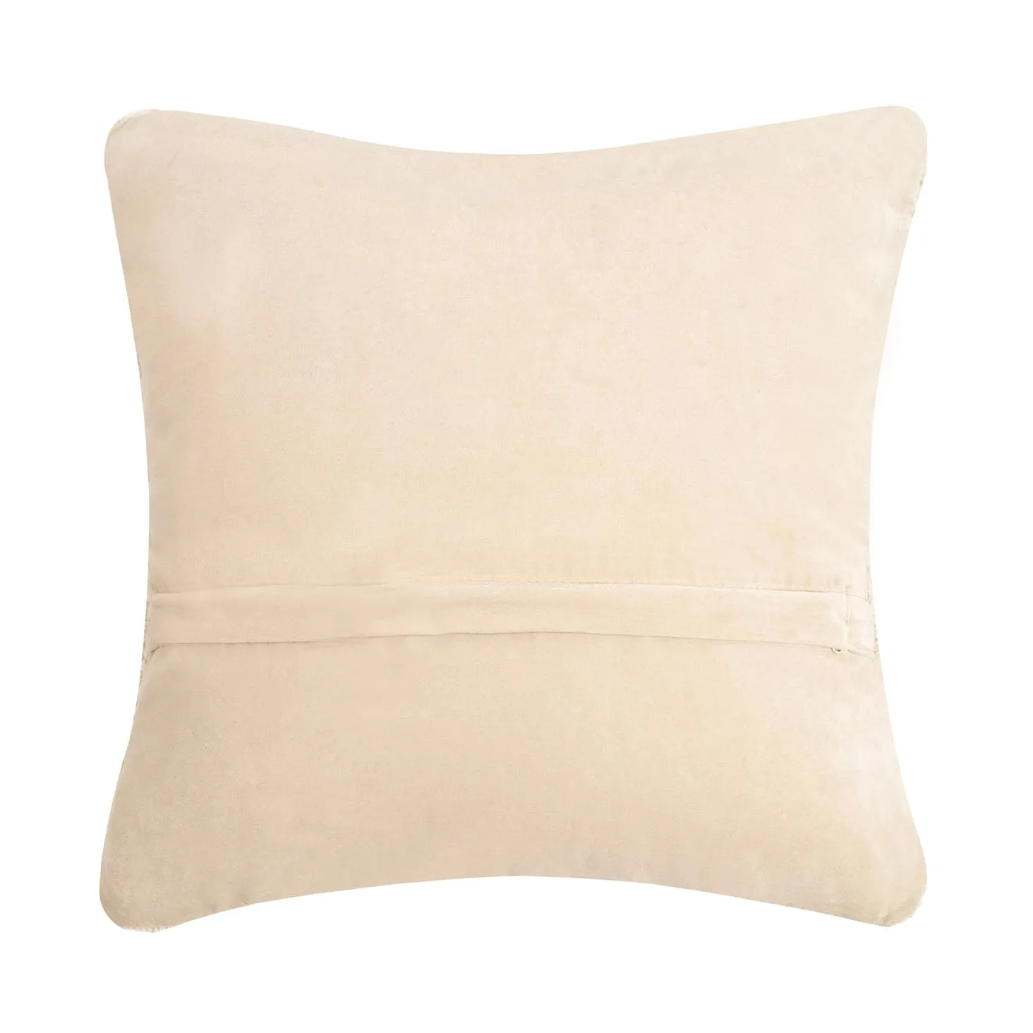 GOLDEN STATE OF MIND ☀️ Hook Pillow