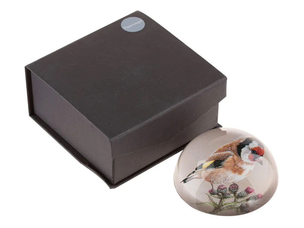 Goldfinch | Luxury Domed Paperweight
