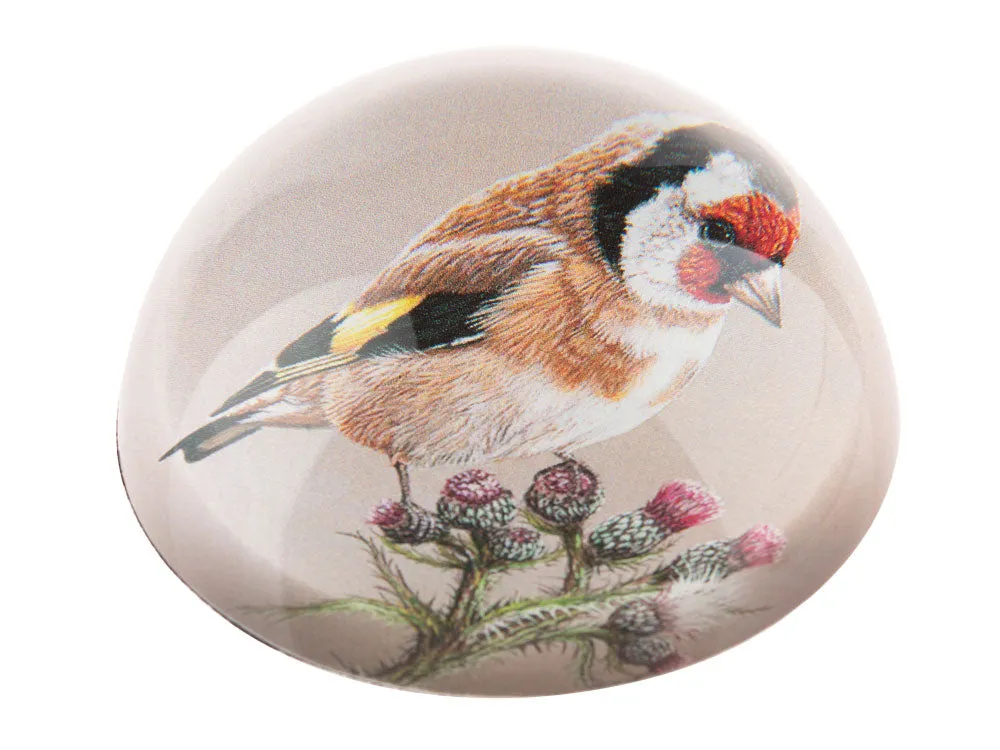 Goldfinch | Luxury Domed Paperweight