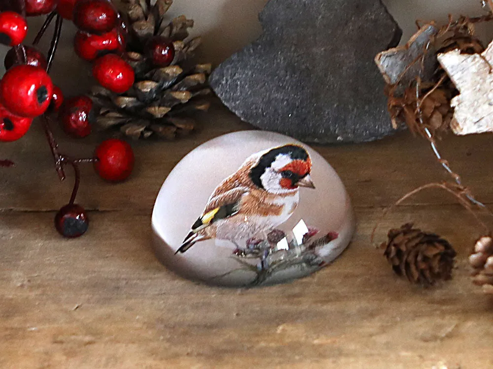 Goldfinch | Luxury Domed Paperweight
