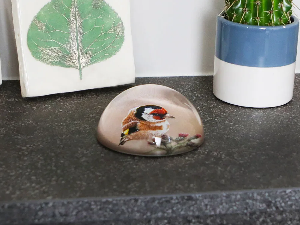 Goldfinch | Luxury Domed Paperweight