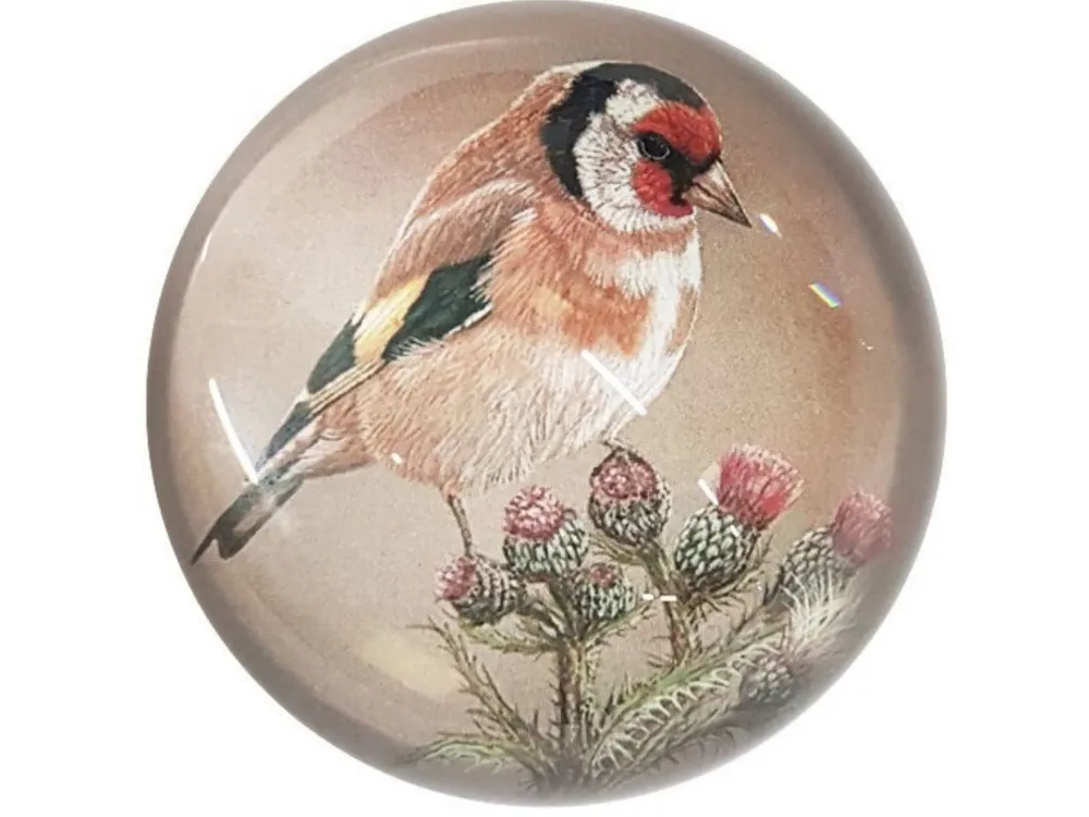 Goldfinch | Luxury Domed Paperweight
