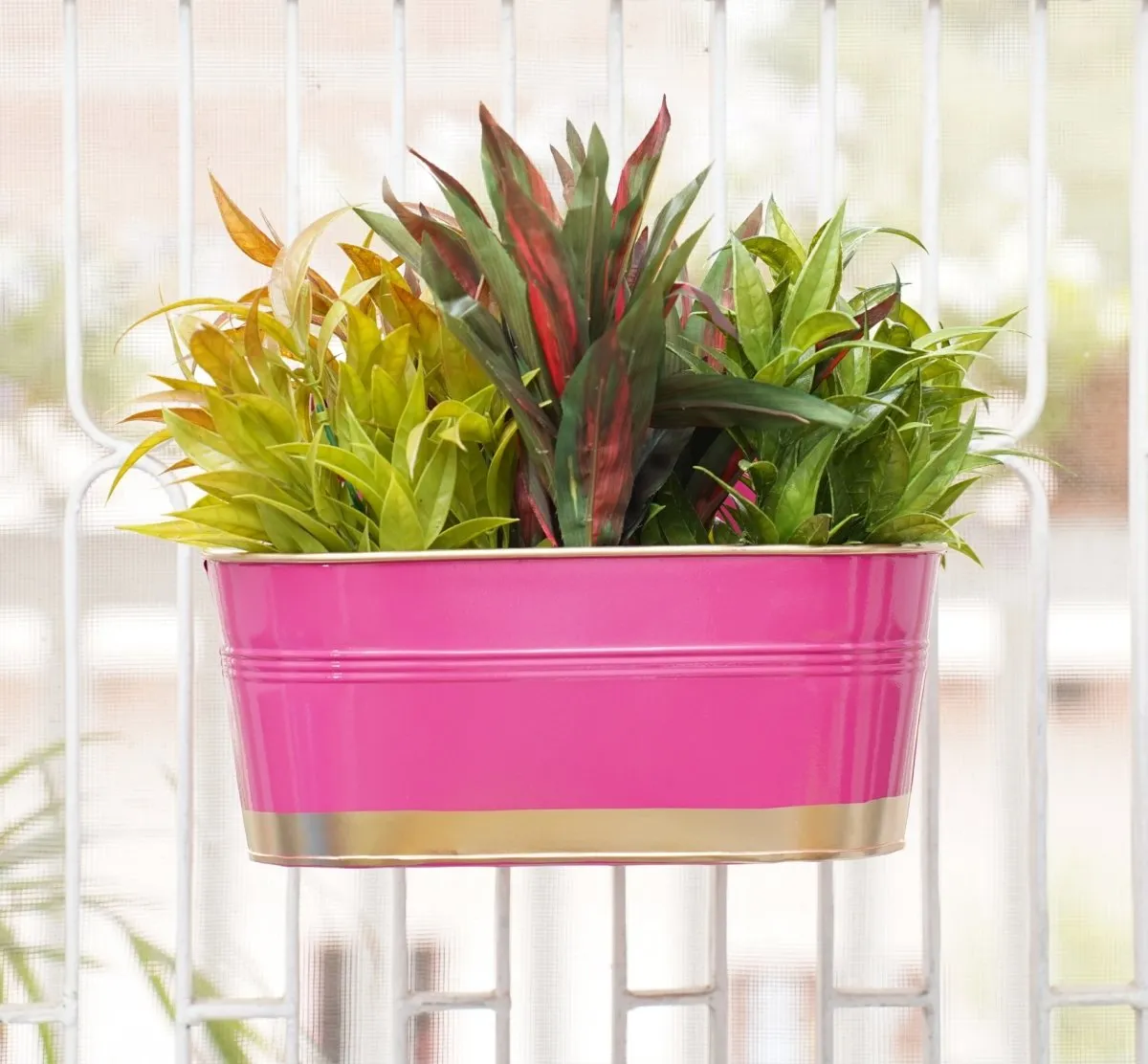 Hanging Pots For Plants Balcony Railing (Pink - Pack6)