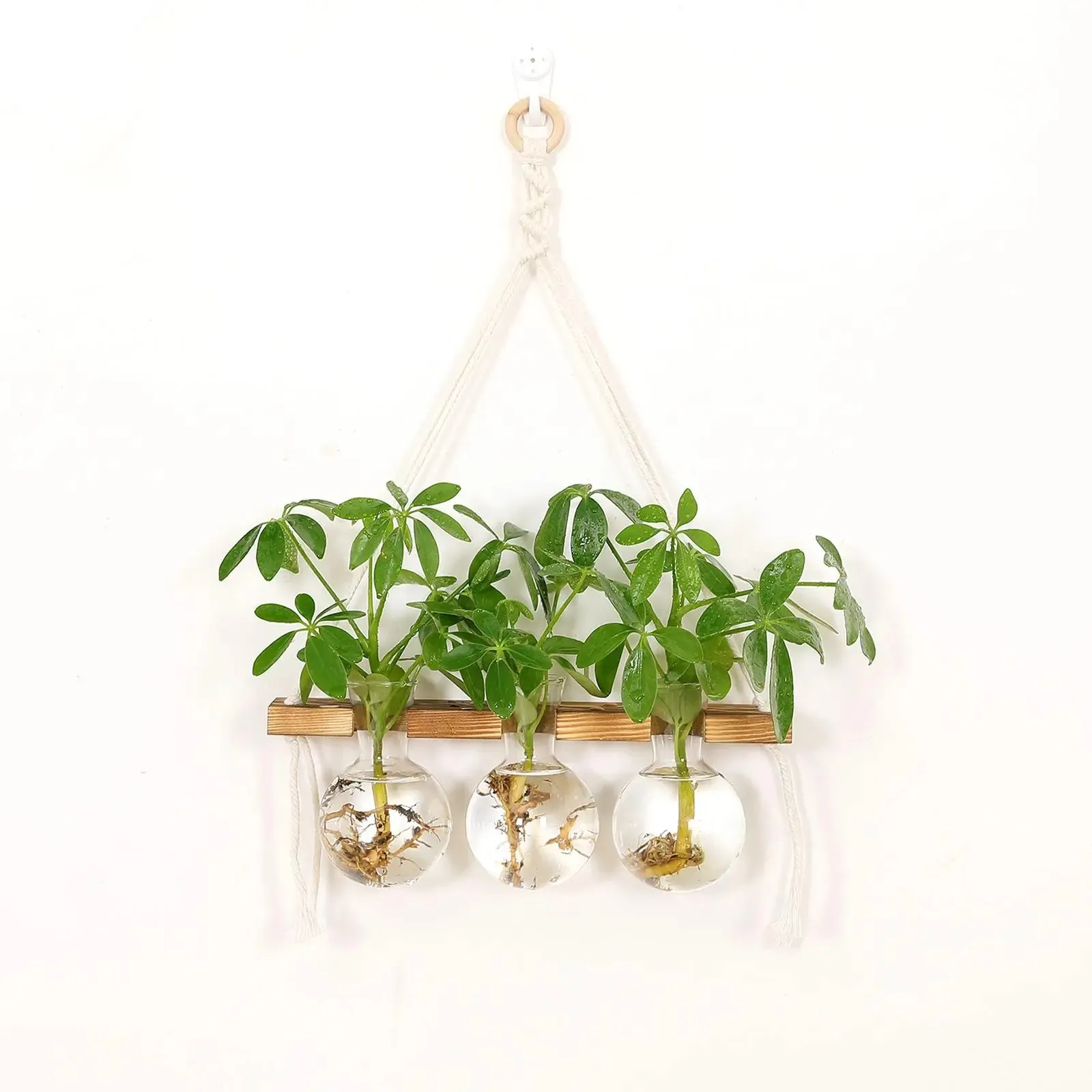 Hydroponic Planters