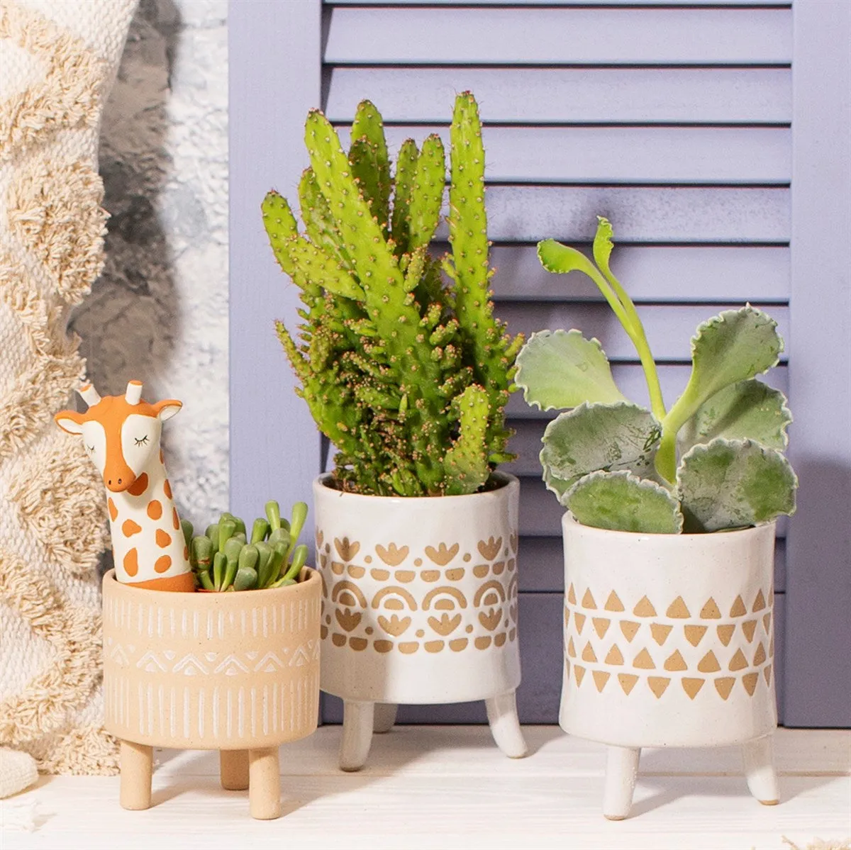 Isabella Leggy Planter
