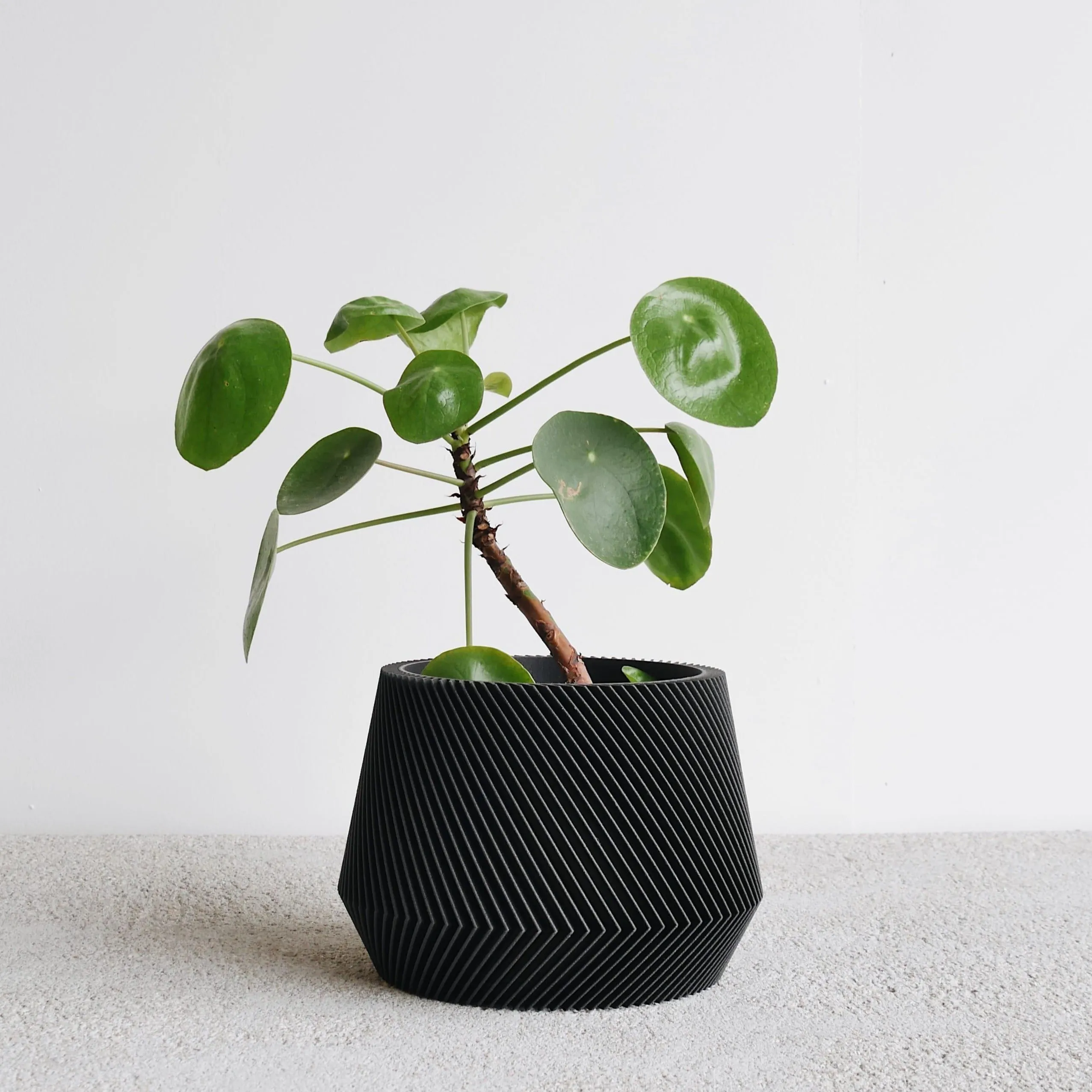 Large OSLO Geometric Planter