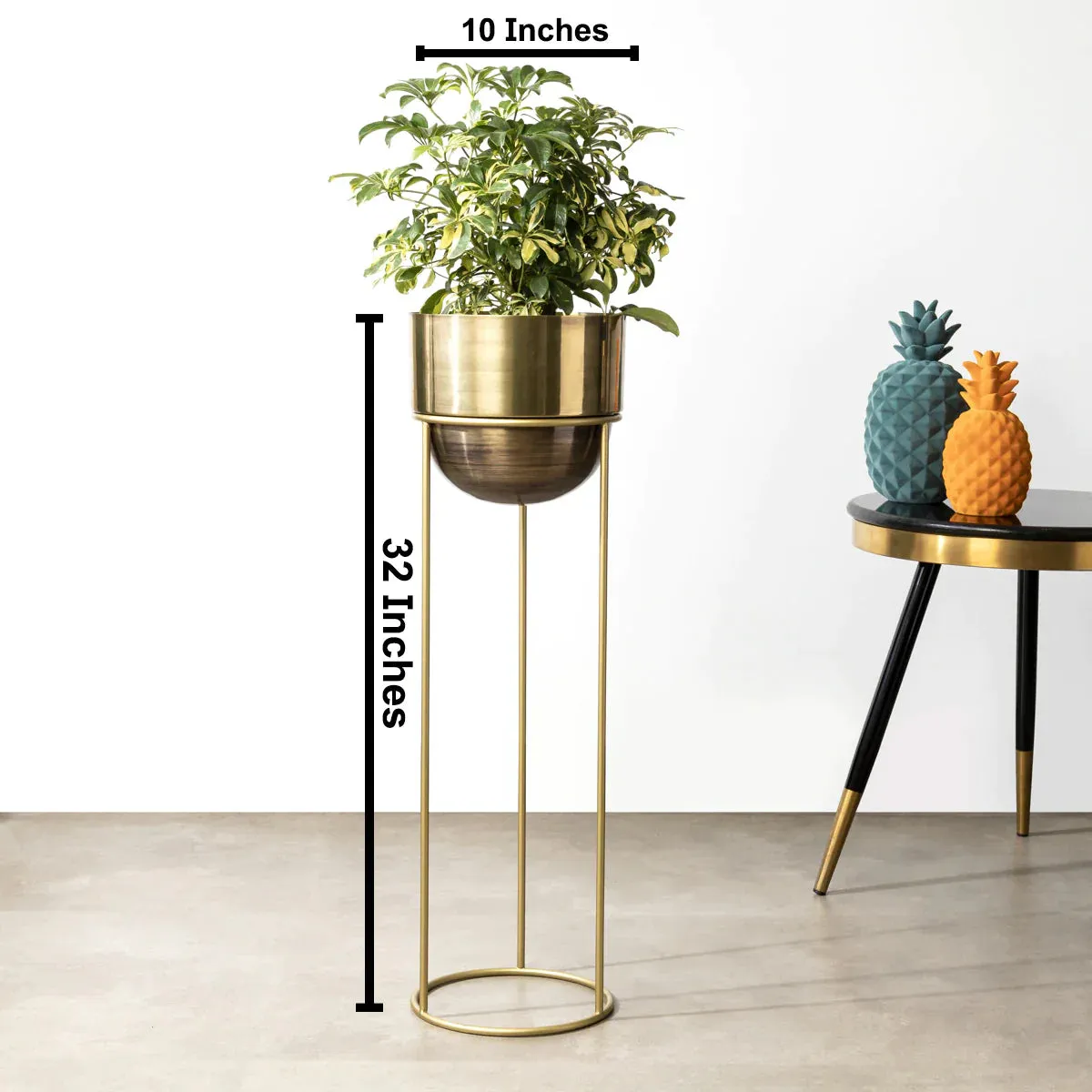 Modish Gold Planter - Big