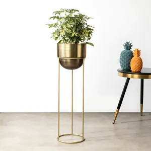 Modish Gold Planter - Big