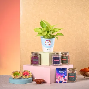 Money Plant Golden & Nutki Diwali Gift Hamper