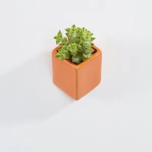 Off The Wall Plant Pot - Small by Thelermont Hupton