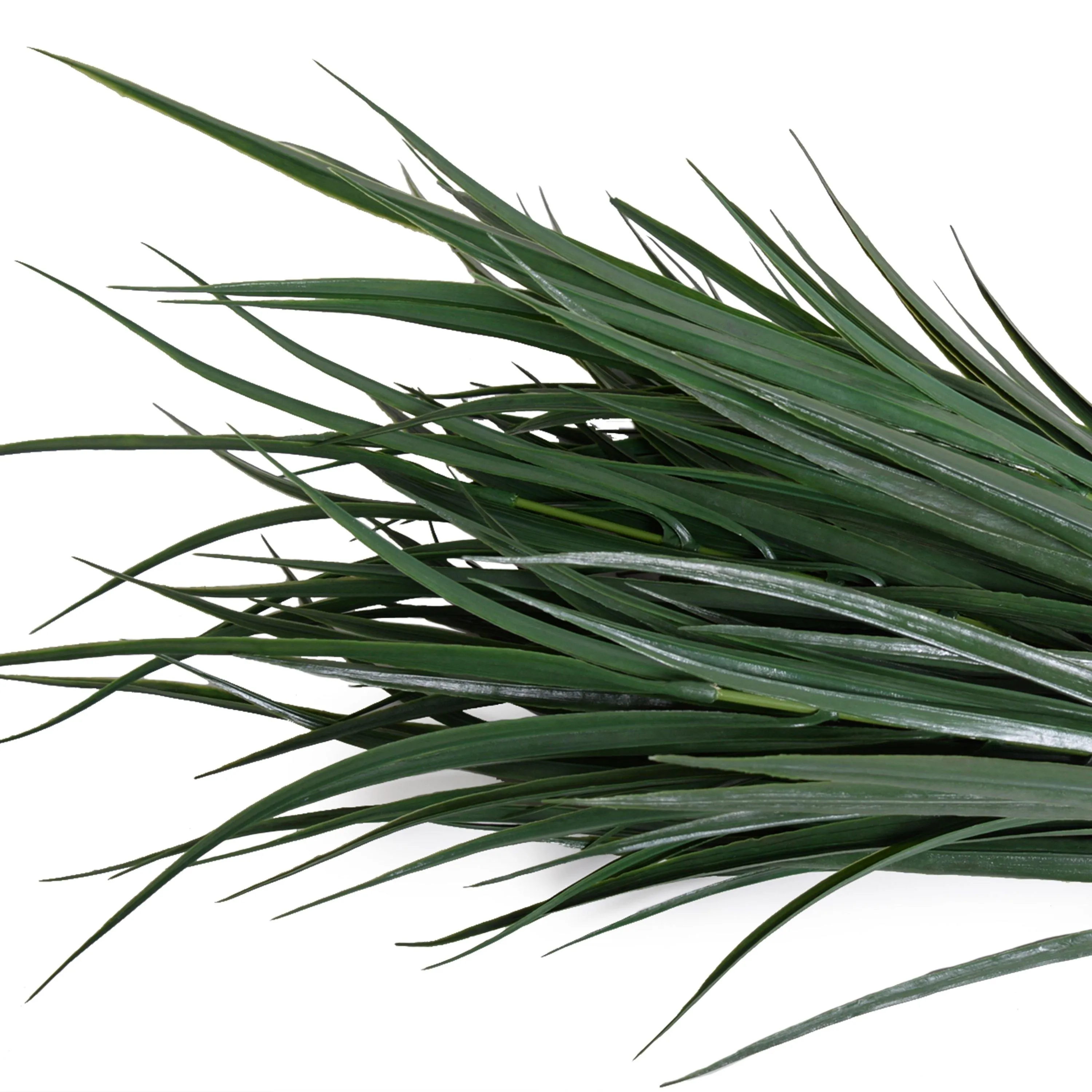 Orchard Grass Spray 24"