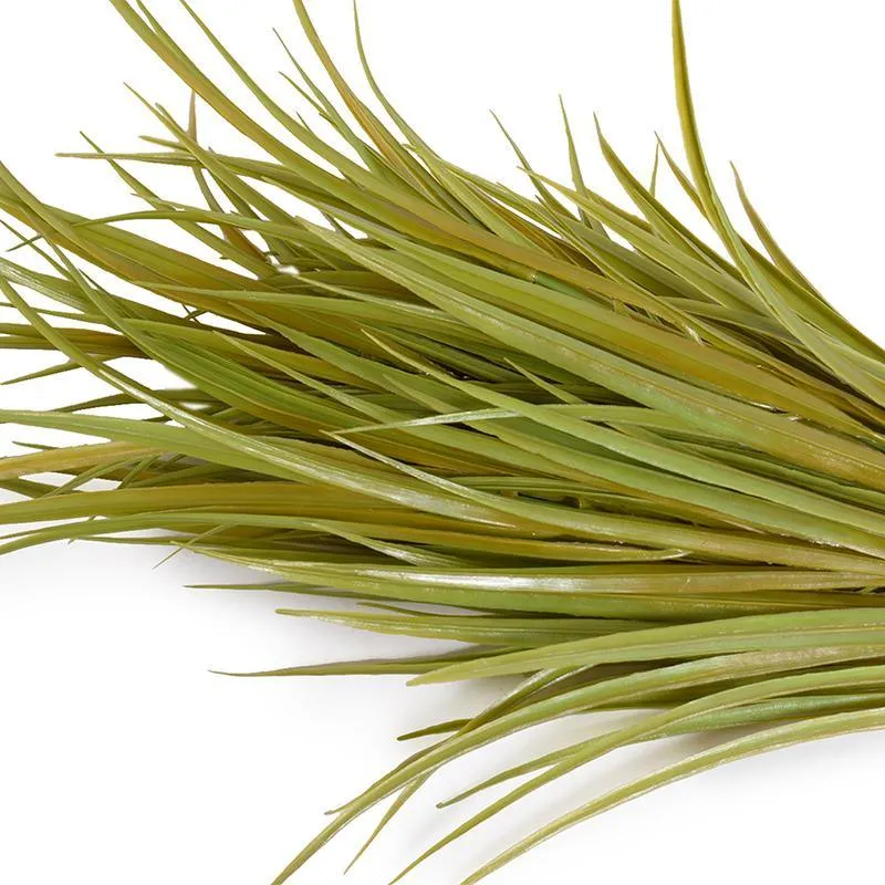 Orchard Grass Spray 24"