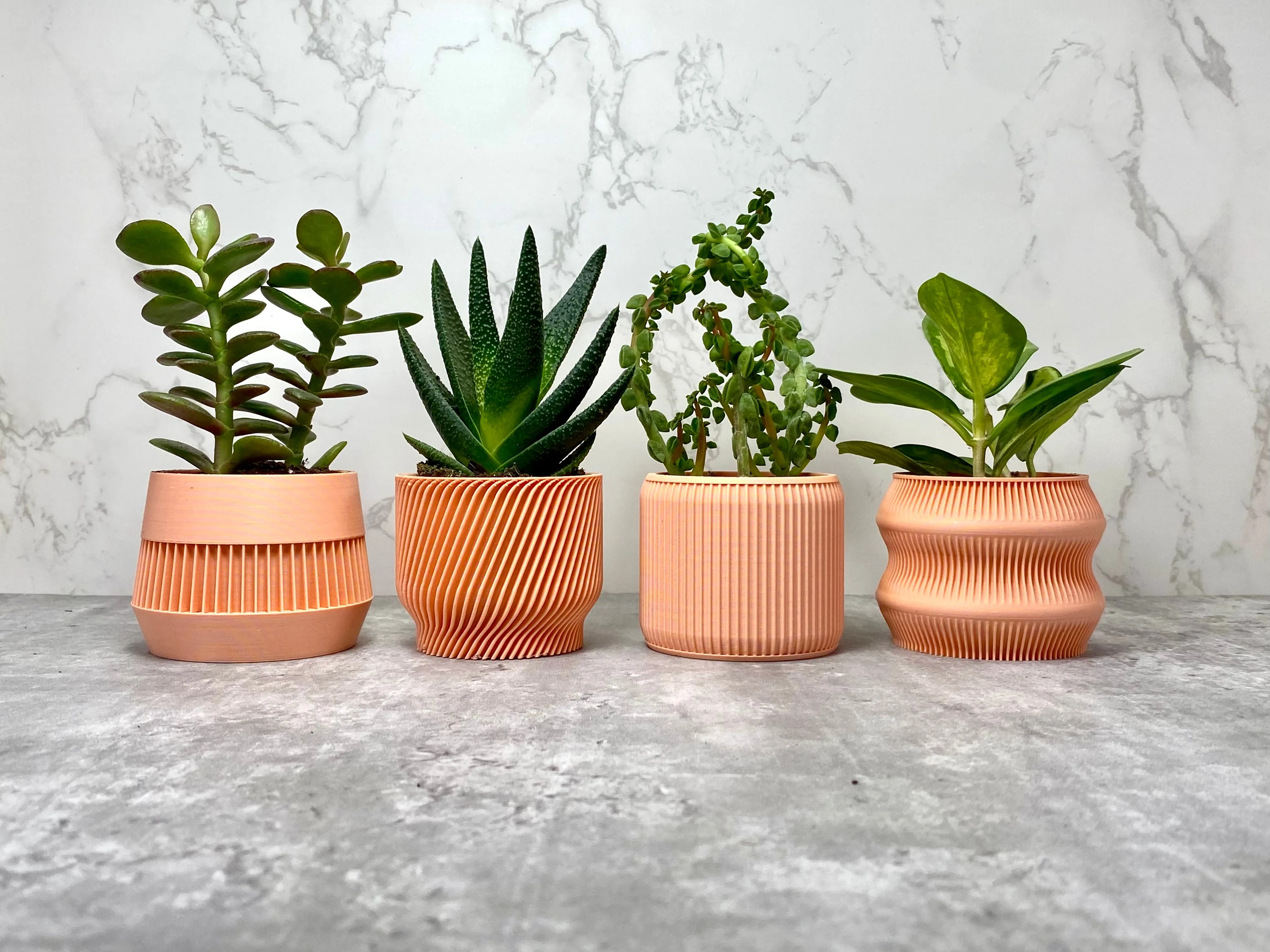 Peach Succulent Set - Pack of 4