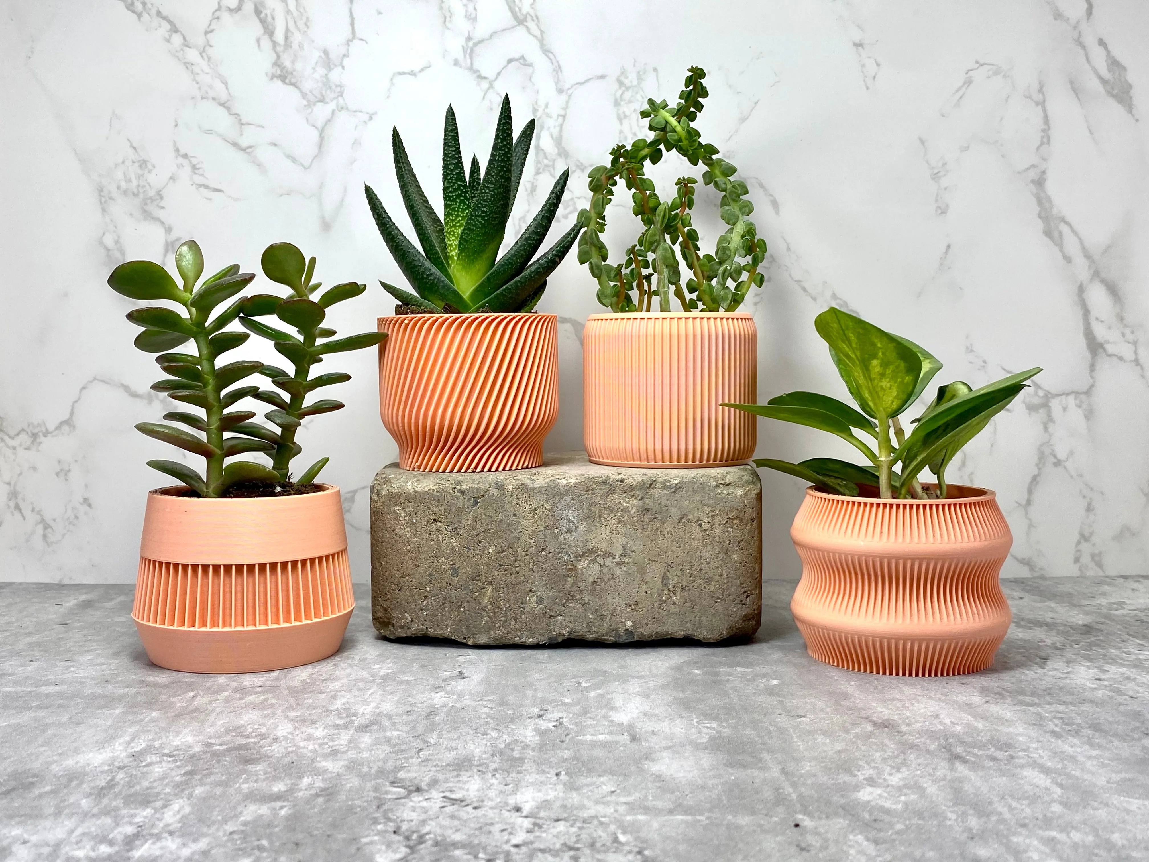 Peach Succulent Set - Pack of 4