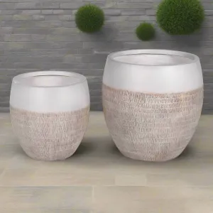 Planters Contemporary / Pair  H: 55 cm W: 50 cm