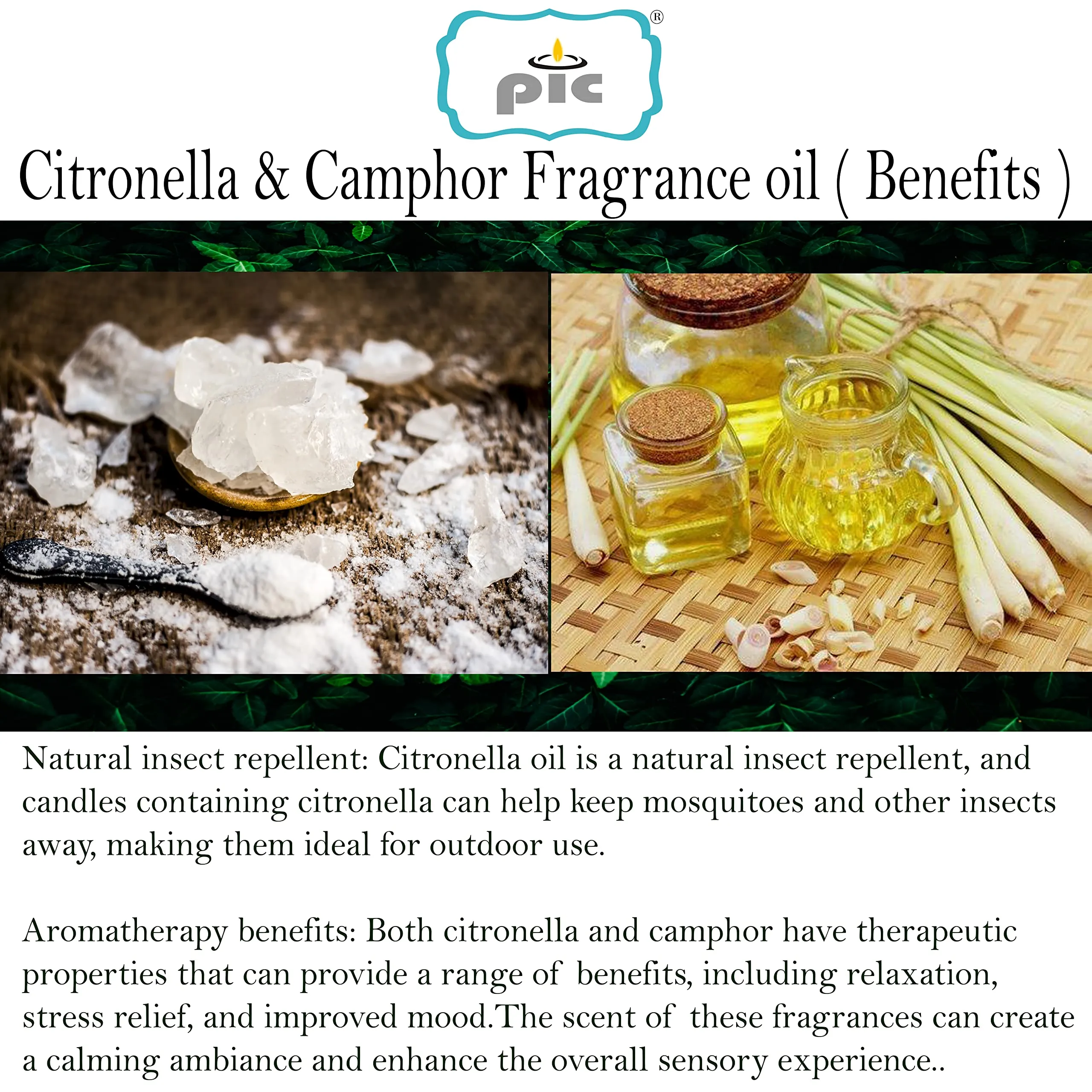 Pure Indian Candle Handpourd Lt. Green Citronella and Camphor Scented Jar Wax Candle (Pack of 6 Pcs.) PICSJC149246