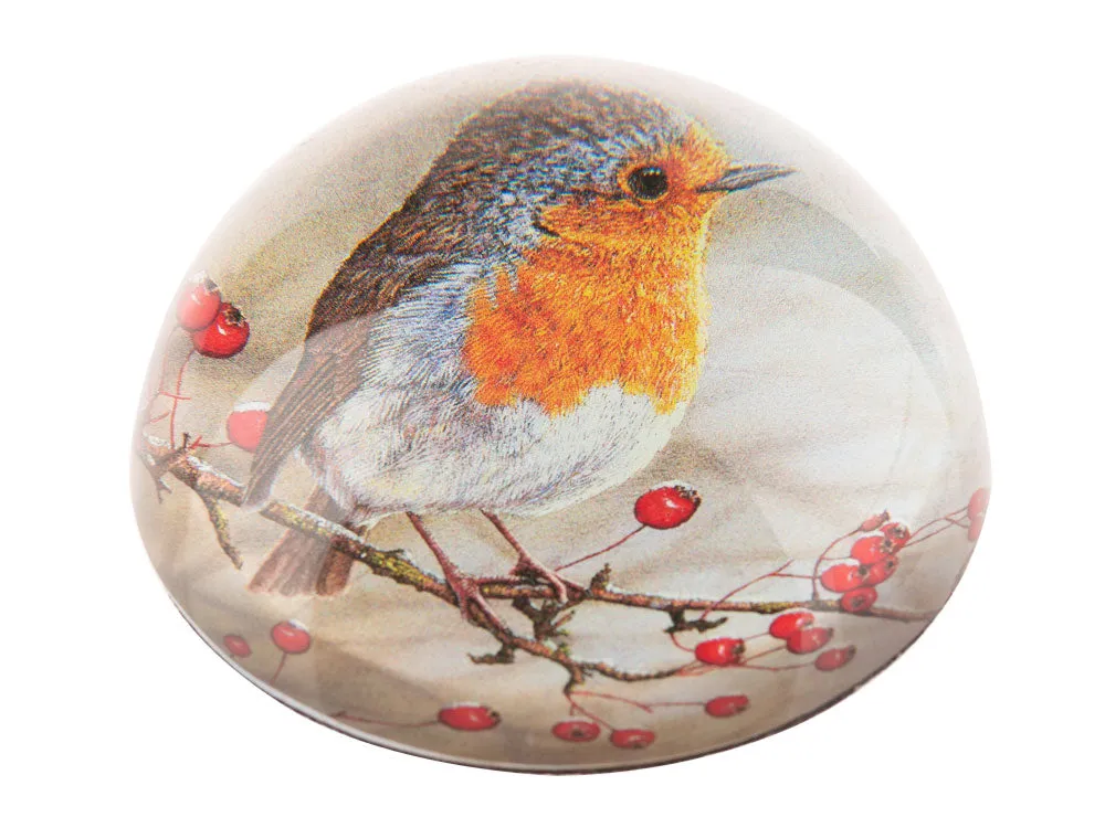 Robin | Luxury Domed Paperweight
