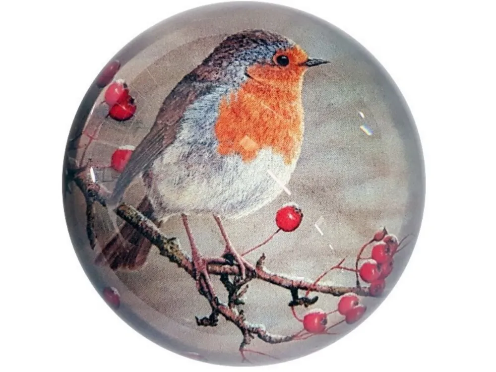 Robin | Luxury Domed Paperweight