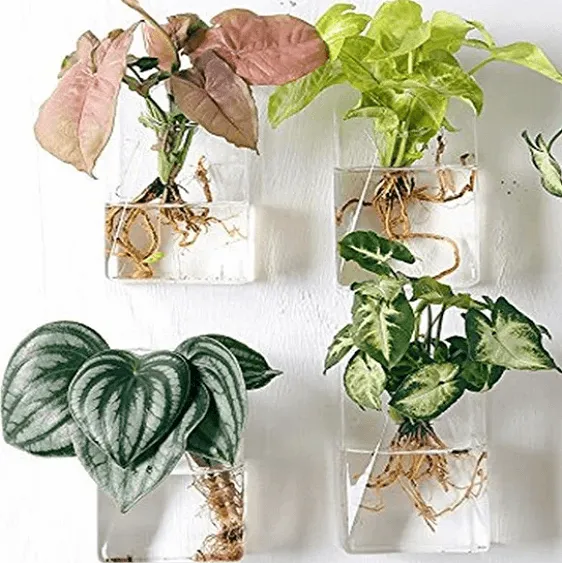 Set of 4 Wall Mountable Planters