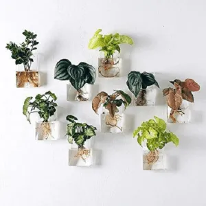Set of 4 Wall Mountable Planters
