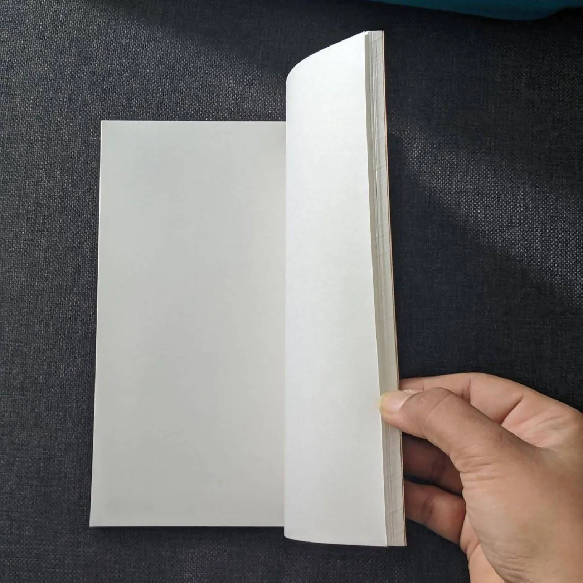 SOS Notebook - Daily Journal - Pack of 2
