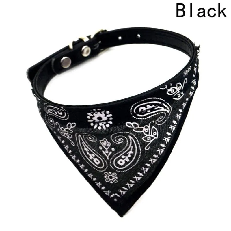 Stylish Bandana Shaped Collar