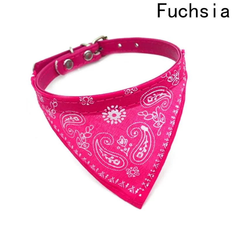 Stylish Bandana Shaped Collar