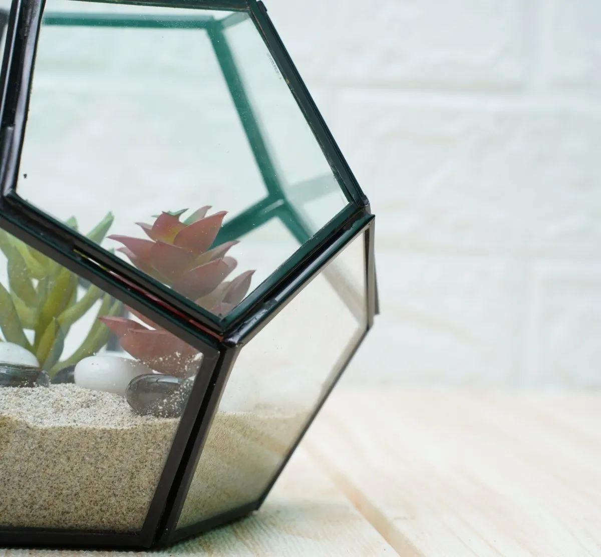 Terrarium Glass Containers- Black Fullerene