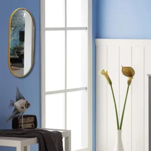 TINITALO Modern Elegance Capsule Shape Wall-Mounted Mirror Metal Framed Wall Mirror Bathroom Mirror Living Room Mirror Home Decor Mirror 24 x 48 Inches Golden MF 104