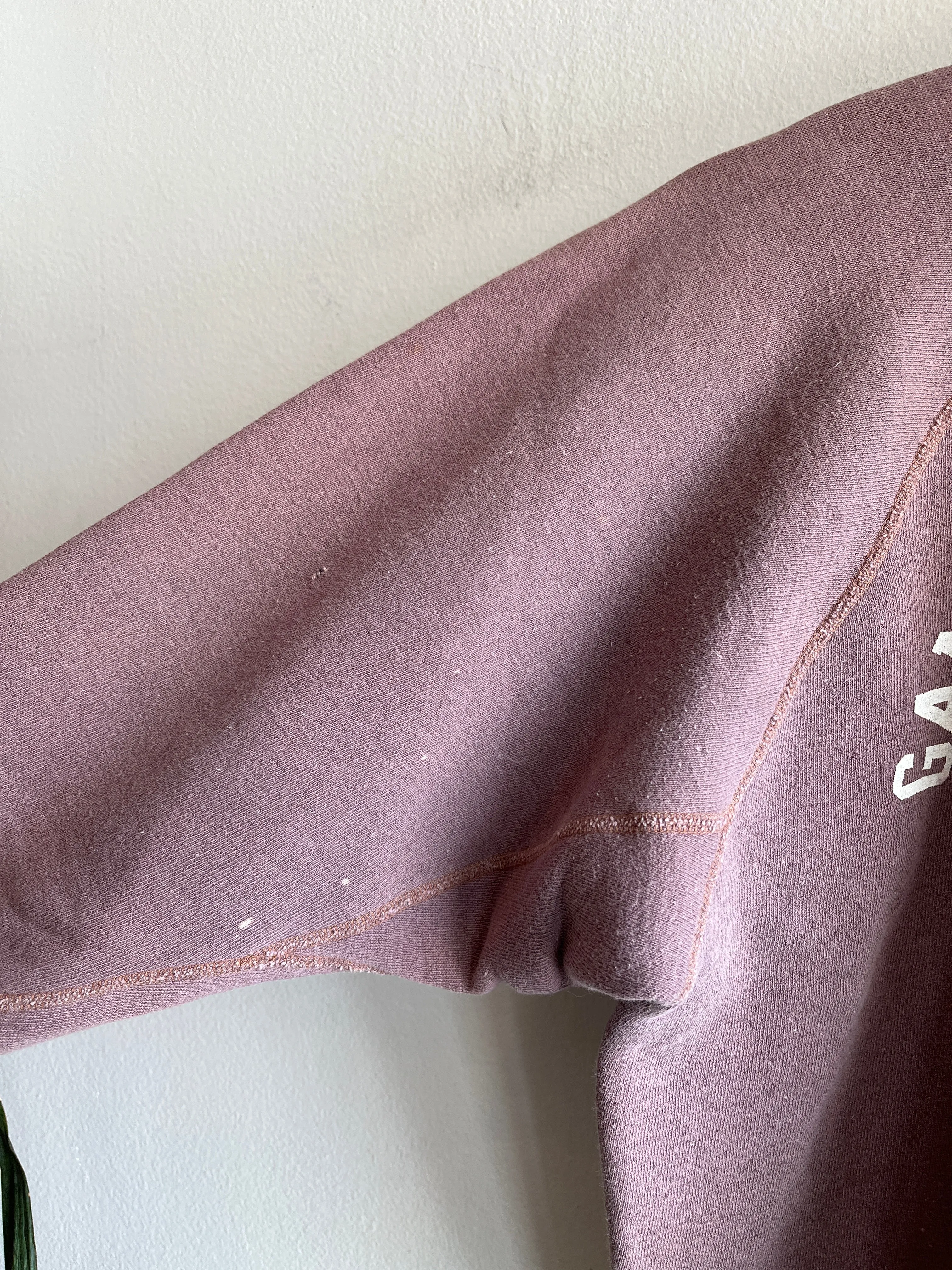 Vintage 1950s Gamma Delta Iota Flock Printed Sweatshirt