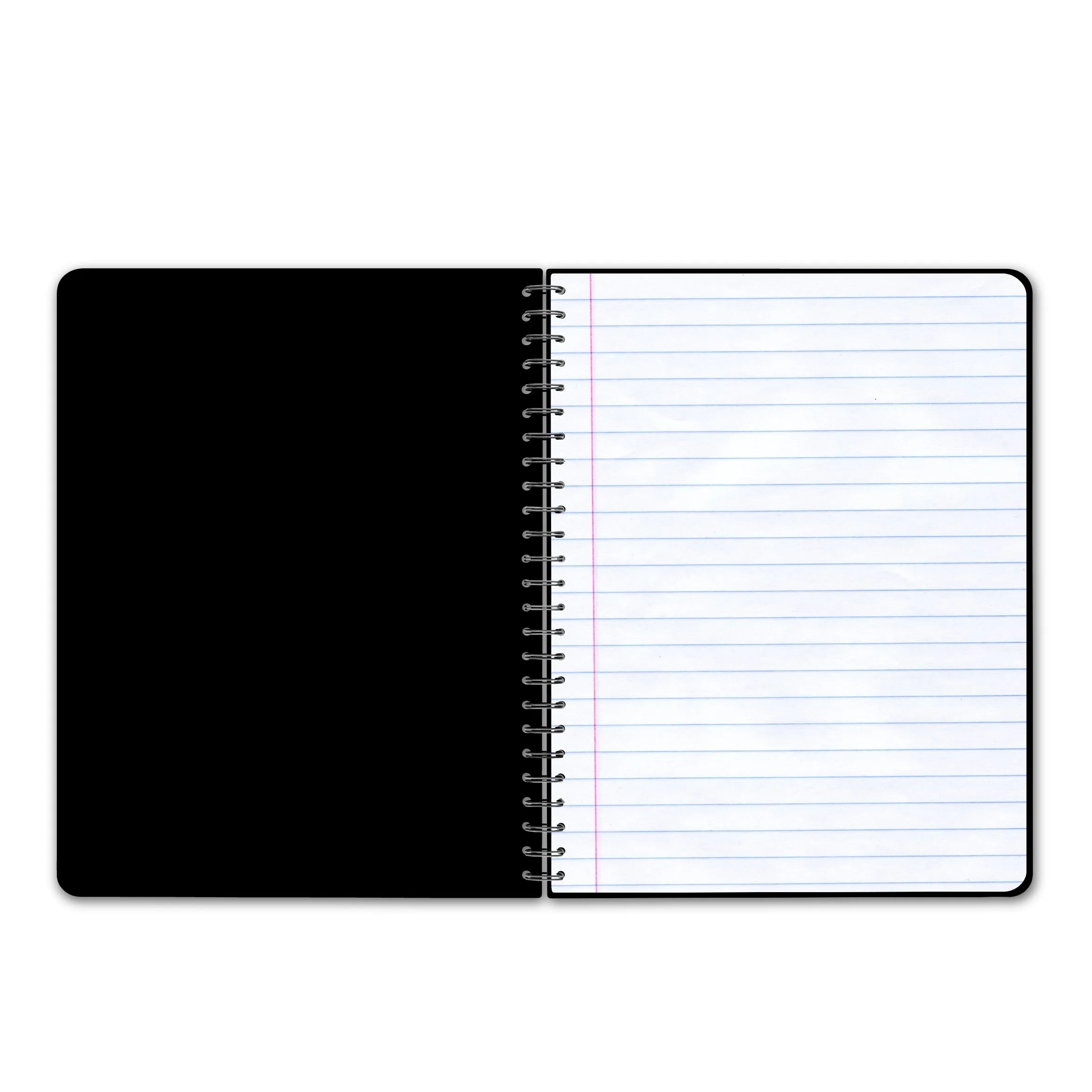 You Can't Kill My Vibe Notebook - Melanin Sista Notebook
